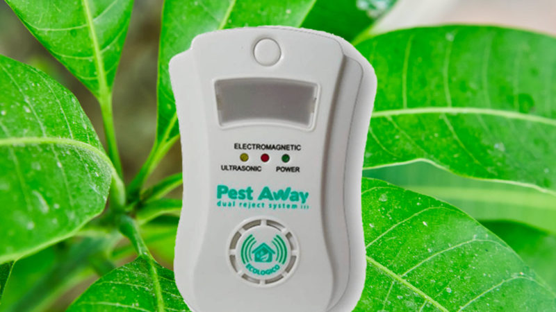 Pest Away: Dissuasore per insetti di qualità? Truffa? Opinioni, recensioni, benefici e costo